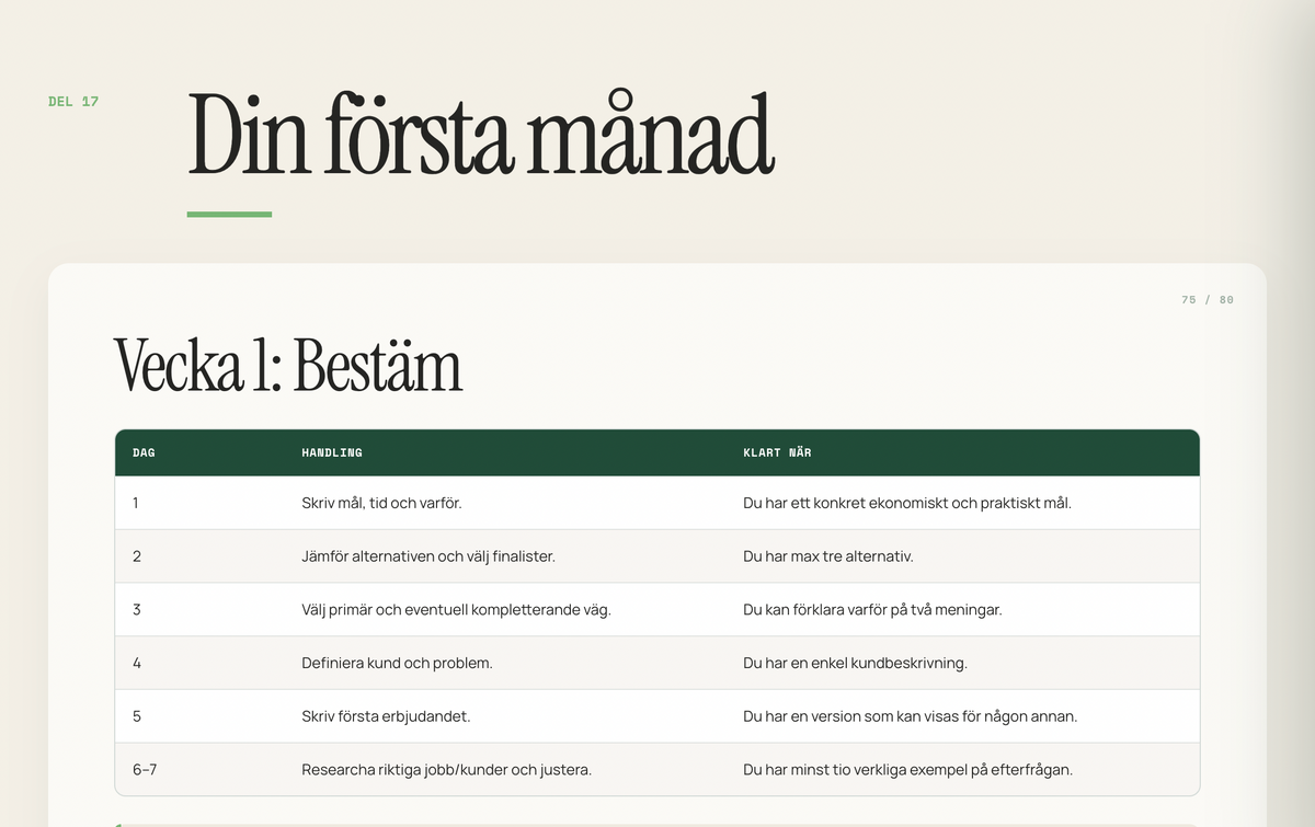 Innehållet i Side Hustle-handboken